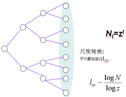 社交网络分析：随机网络模型