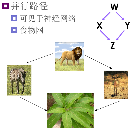 社交网络分析：小世界网络