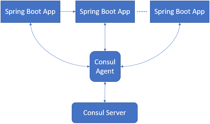 Consul Environment