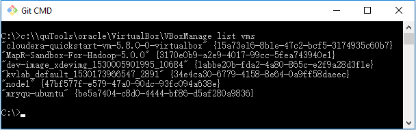 vagrantbox-listVMs