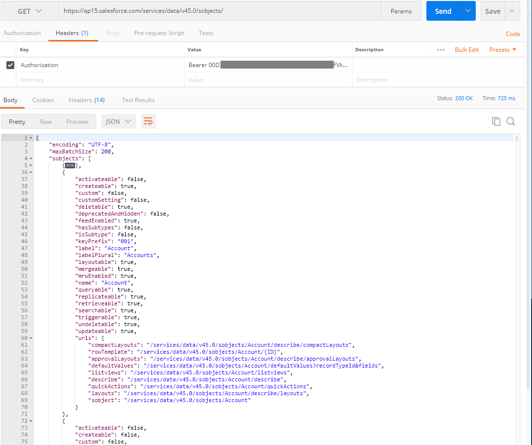 salesforce api: get obj list